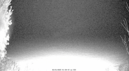 Image from 2025-02-24