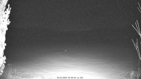 Image from 2025-02-24