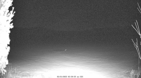 Image from 2025-02-24