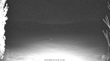 Image from 2025-02-24