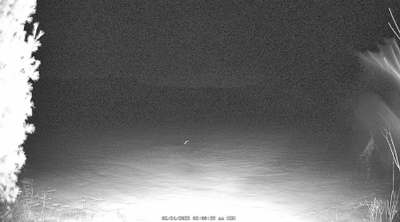 Image from 2025-02-24