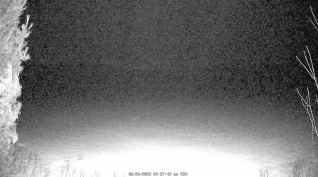 Image from 2025-02-24