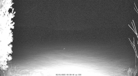 Image from 2025-02-24