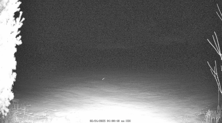 Image from 2025-02-24