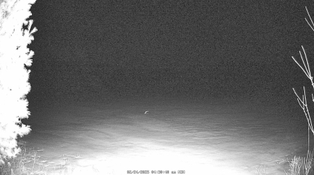 Image from 2025-02-24