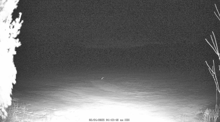 Image from 2025-02-24