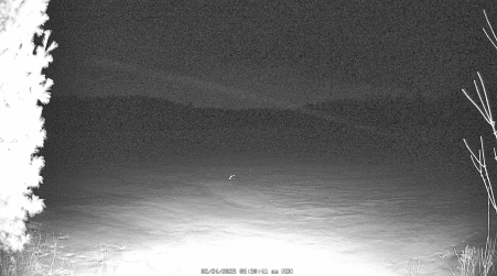 Image from 2025-02-24