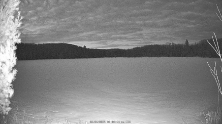 Image from 2025-02-24
