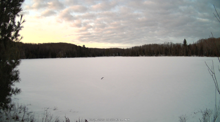 Image from 2025-02-24