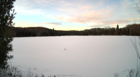 Image from 2025-02-24