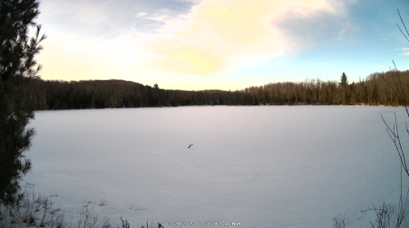 Image from 2025-02-24