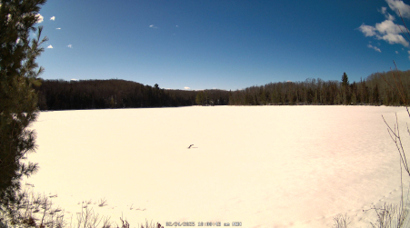 Image from 2025-02-24