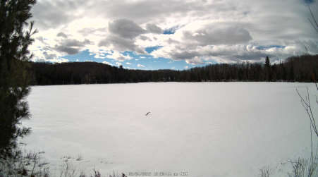 Image from 2025-02-24