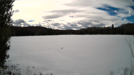 Image from 2025-02-24