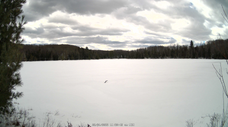 Image from 2025-02-24