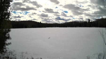 Image from 2025-02-24