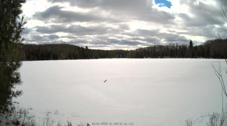 Image from 2025-02-24