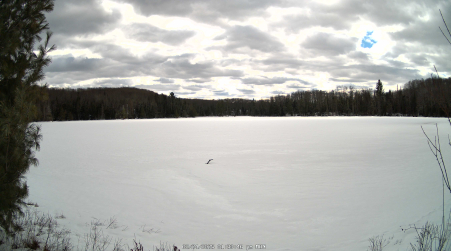 Image from 2025-02-24