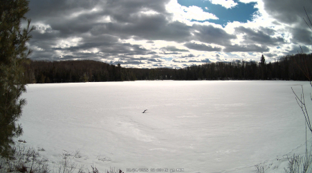 Image from 2025-02-24