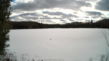 Image from 2025-02-24