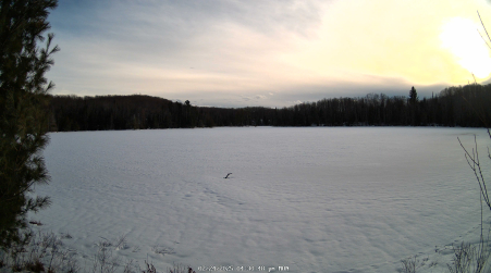 Image from 2025-02-24