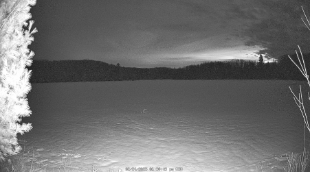 Image from 2025-02-24