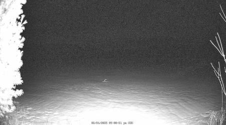 Image from 2025-02-24