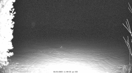 Image from 2025-02-24