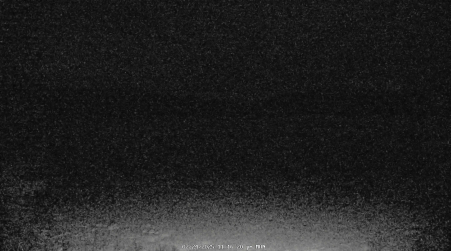 Image from 2025-02-24