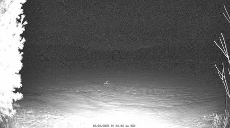 Image from 2025-02-26