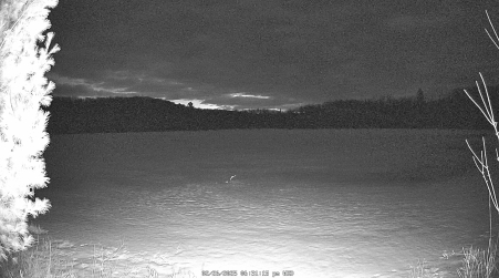 Image from 2025-02-26