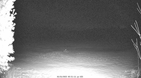 Image from 2025-02-26