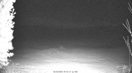 Image from 2025-02-26