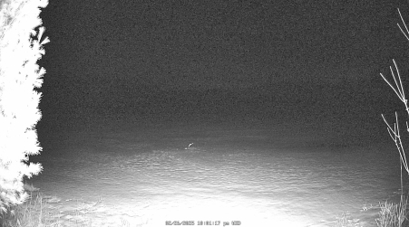Image from 2025-02-26