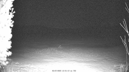 Image from 2025-02-27