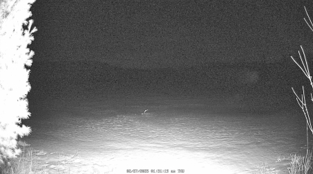 Image from 2025-02-27