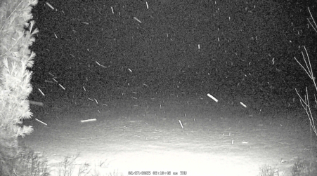 Image from 2025-02-27