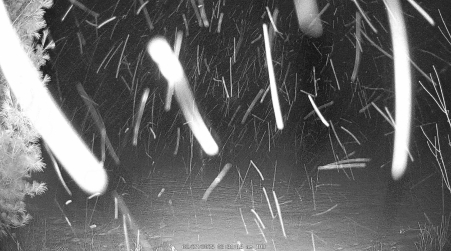 Image from 2025-02-27