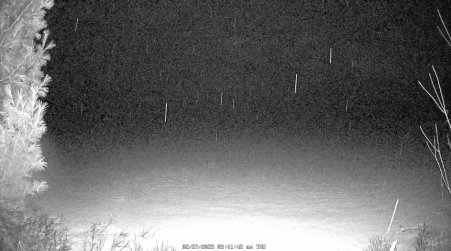Image from 2025-02-27