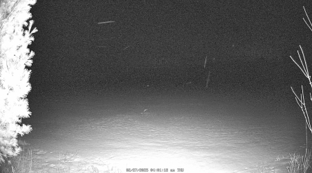 Image from 2025-02-27