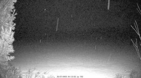 Image from 2025-02-27