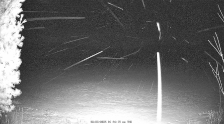 Image from 2025-02-27