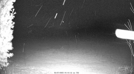 Image from 2025-02-27