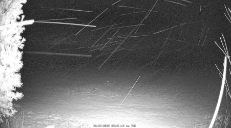Image from 2025-02-27