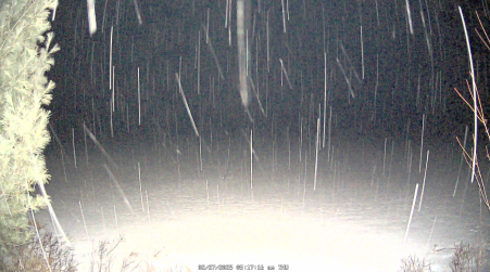 Image from 2025-02-27