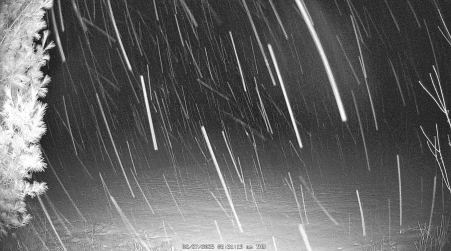 Image from 2025-02-27
