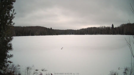 Image from 2025-02-27