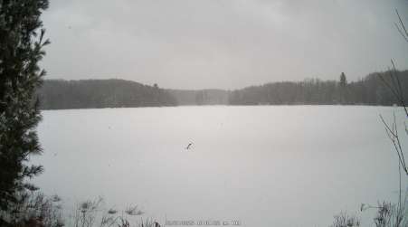 Image from 2025-02-27