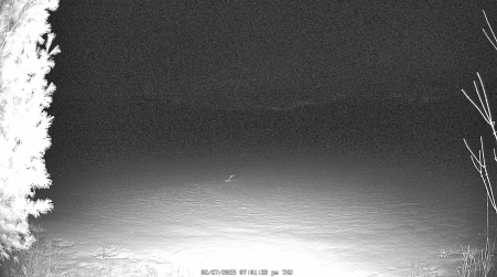 Image from 2025-02-27