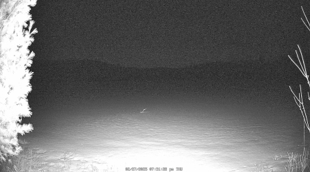 Image from 2025-02-27
